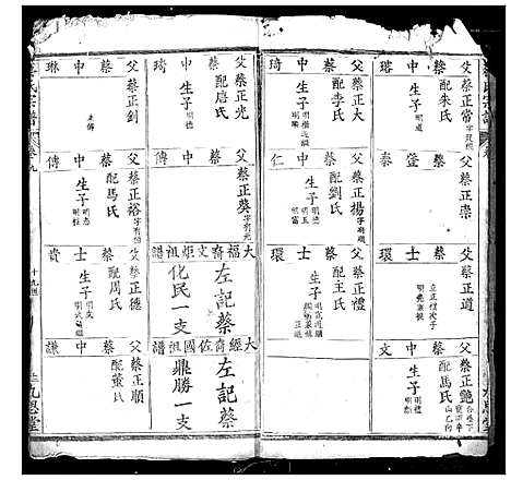 [蔡]蔡氏宗谱 (湖北) 蔡氏家谱_九.pdf