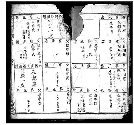 [蔡]蔡氏宗谱 (湖北) 蔡氏家谱_十一.pdf