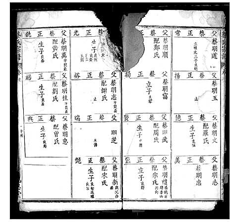 [蔡]蔡氏宗谱 (湖北) 蔡氏家谱_十一.pdf