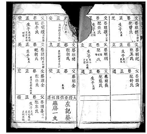 [蔡]蔡氏宗谱 (湖北) 蔡氏家谱_十一.pdf