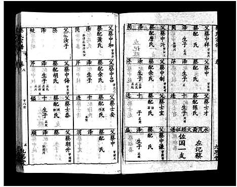 [蔡]蔡氏宗谱_15卷-Cai Shi_蔡氏宗谱 (湖北) 蔡氏家谱_九.pdf