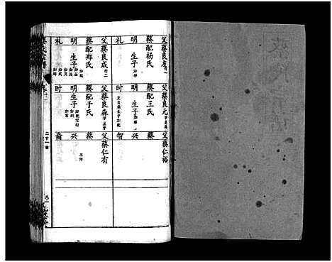 [蔡]蔡氏宗谱_15卷-Cai Shi_蔡氏宗谱 (湖北) 蔡氏家谱_十六.pdf