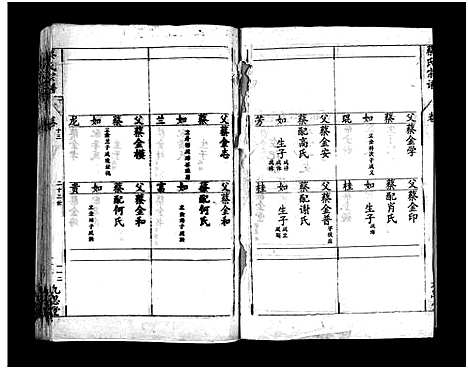 [蔡]蔡氏宗谱_15卷-Cai Shi_蔡氏宗谱 (湖北) 蔡氏家谱_二十二.pdf