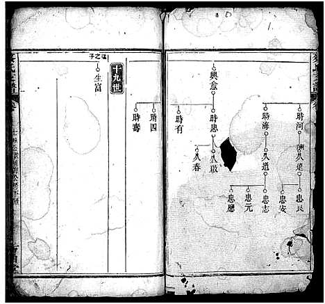 [蔡]蔡氏支谱_11卷首3卷-蔡氏支谱 (湖北) 蔡氏支谱_十九.pdf