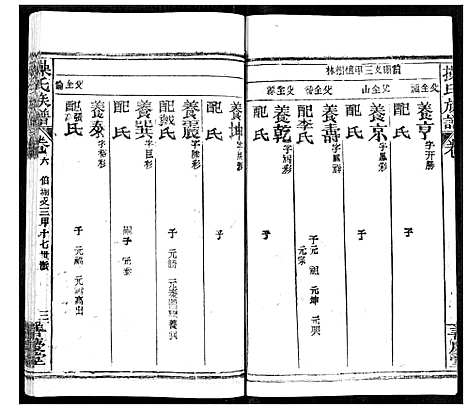 [操]操氏族谱 (湖北) 操氏家谱_九.pdf