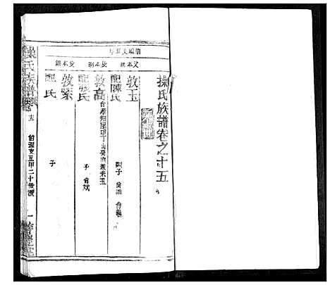 [操]操氏族谱 (湖北) 操氏家谱_十八.pdf