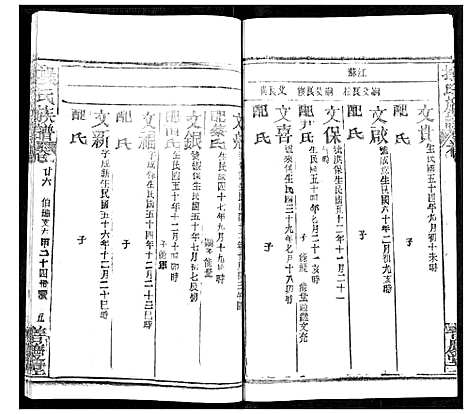 [操]操氏族谱 (湖北) 操氏家谱_二十八.pdf