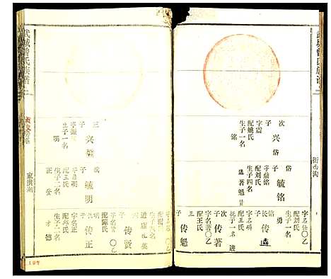 [曾]武城曾氏族谱 (湖北) 武城曾氏家谱_十七.pdf