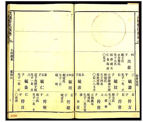 [曾]武城曾氏族谱 (湖北) 武城曾氏家谱_二十七.pdf