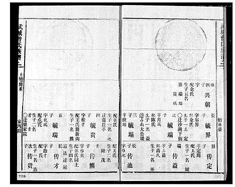 [曾]武城曾氏续修族谱 (湖北) 武城曾氏续修家谱_八.pdf