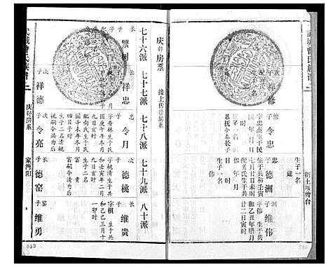 [曾]武城曾氏续修族谱 (湖北) 武城曾氏续修家谱_九.pdf