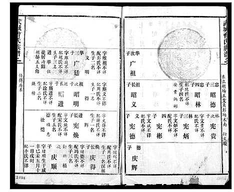 [曾]武城曾氏续修族谱 (湖北) 武城曾氏续修家谱_十二.pdf