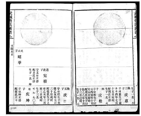 [曾]武城曾氏续修族谱 (湖北) 武城曾氏续修家谱_十二.pdf