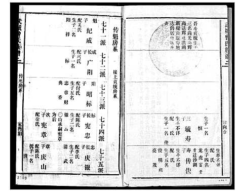 [曾]武城曾氏续修族谱 (湖北) 武城曾氏续修家谱_十三.pdf