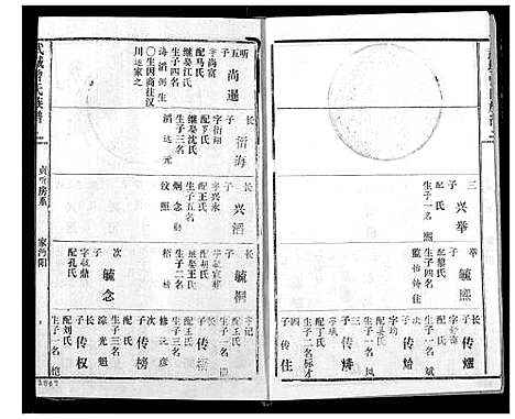 [曾]武城曾氏续修族谱 (湖北) 武城曾氏续修家谱_十九.pdf