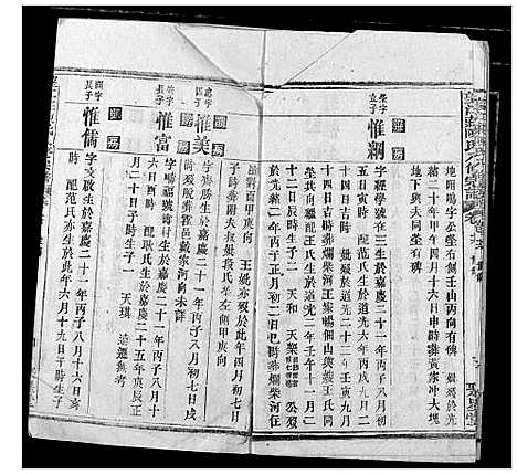 [陈]望江庄陈氏宗谱 (湖北) 望江庄陈氏家谱_十二.pdf