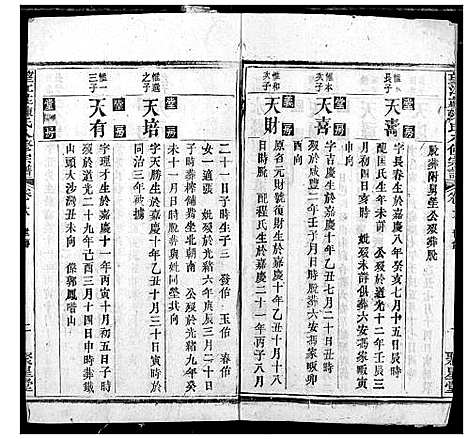 [陈]望江庄陈氏宗谱 (湖北) 望江庄陈氏家谱_十三.pdf