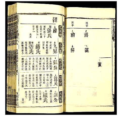 [陈]义门陈氏宗谱 (湖北) 义门陈氏家谱_三十四.pdf