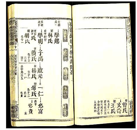 [陈]义门陈氏宗谱 (湖北) 义门陈氏家谱_十一.pdf