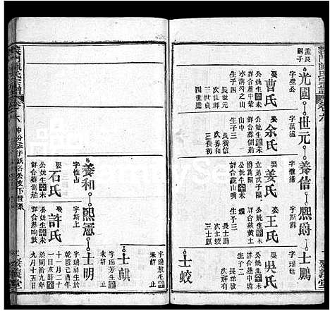 [陈]义门陈氏宗谱_12卷 (湖北) 义门陈氏家谱_九.pdf