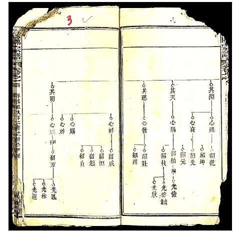 [陈]义陈宗谱 (湖北) 义陈家谱_九.pdf