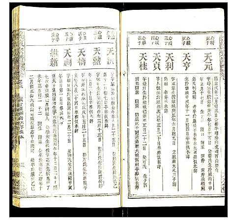 [陈]义陈宗谱 (湖北) 义陈家谱_十三.pdf