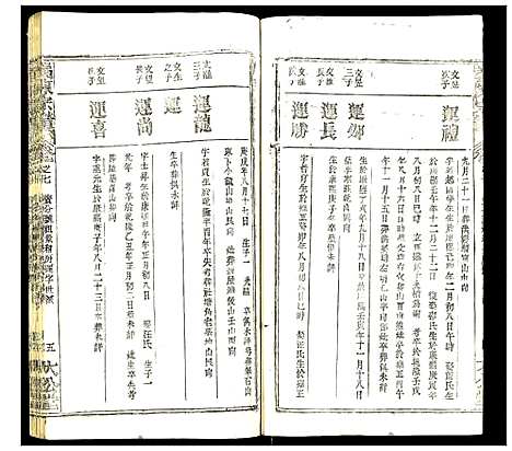 [陈]义陈宗谱 (湖北) 义陈家谱_十七.pdf