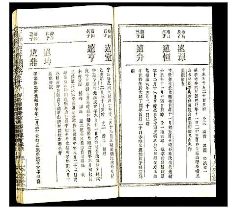 [陈]义陈宗谱 (湖北) 义陈家谱_二十九.pdf