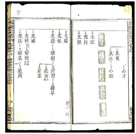 [陈]义陈宗谱 (湖北) 义陈家谱_十一.pdf