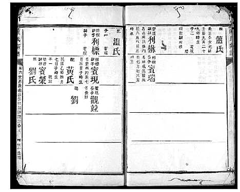 [陈]陈氏宗谱 (湖北) 陈氏家谱_九.pdf