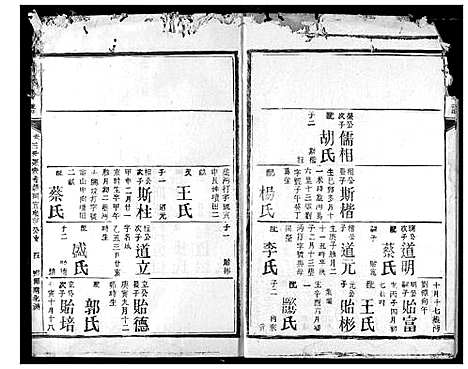 [陈]陈氏宗谱 (湖北) 陈氏家谱_二十.pdf