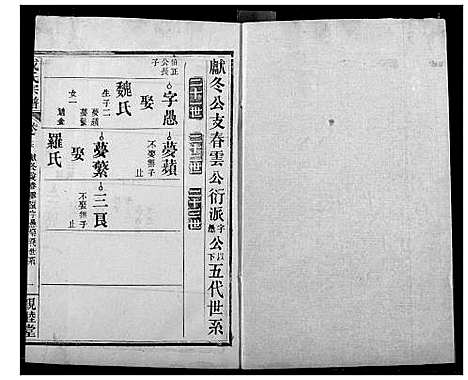 [成]成氏宗谱 (湖北) 成氏家谱_十四.pdf