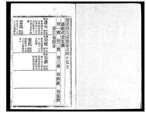 [程]程氏宗谱 (湖北) 程氏家谱_四十九.pdf