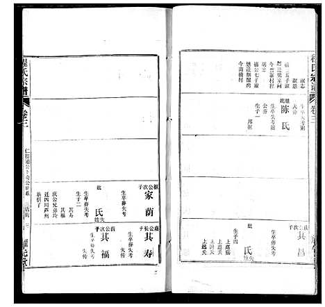 [程]程氏宗谱 (湖北) 程氏家谱_十.pdf