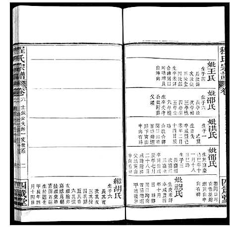 [程]程氏宗谱 (湖北) 程氏家谱_九.pdf