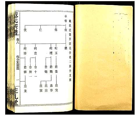 [戴]戴氏宗谱 (湖北) 戴氏家谱_九.pdf