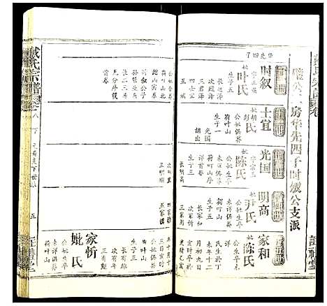 [戴]戴氏宗谱 (湖北) 戴氏家谱_十二.pdf