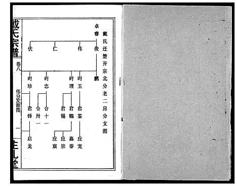 [戴]戴氏宗谱 (湖北) 戴氏家谱_十.pdf