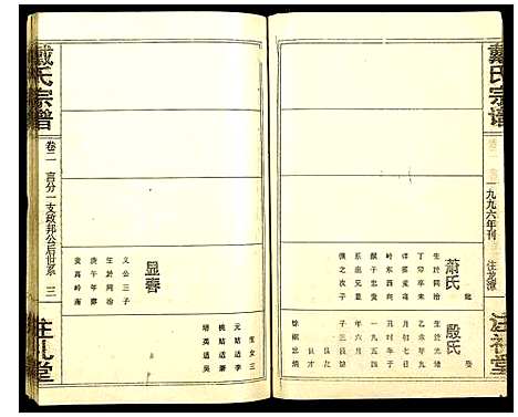 [戴]戴氏宗谱 (湖北) 戴氏家谱_三.pdf