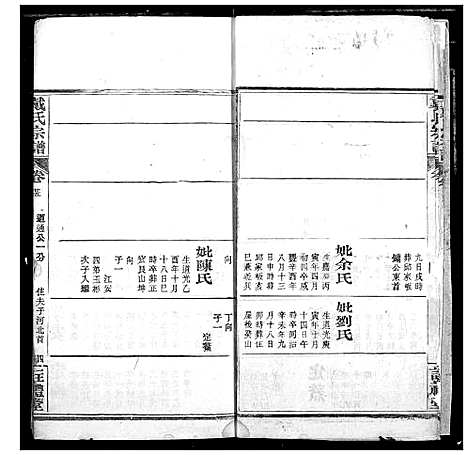 [戴]戴氏宗谱 (湖北) 戴氏家谱_十九.pdf