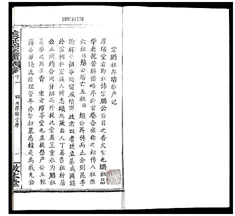 [袁]袁氏宗谱 (湖北) 袁氏家谱_十五.pdf