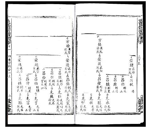 [袁]袁氏宗谱 (湖北) 袁氏家谱_十五.pdf