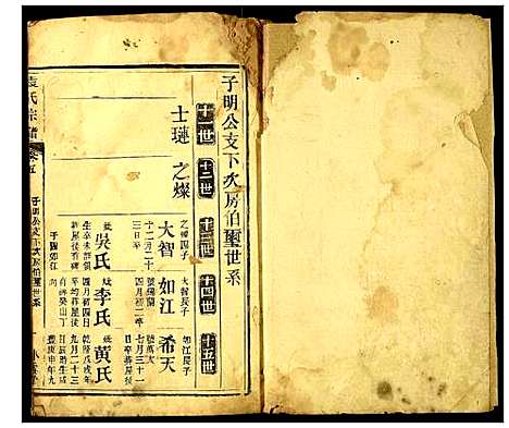 [袁]袁氏宗谱 (湖北) 袁氏家谱_二.pdf