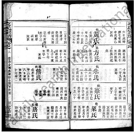 [袁]袁氏宗谱_10卷 (湖北) 袁氏家谱_九.pdf