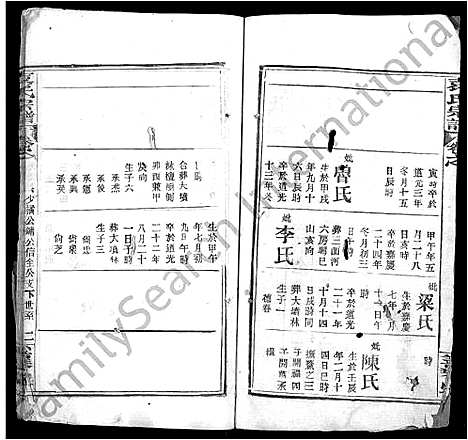 [袁]袁氏宗谱_10卷 (湖北) 袁氏家谱_十.pdf