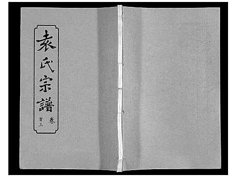 [袁]袁氏宗谱_24卷首4卷首1卷 (湖北) 袁氏家谱_三.pdf