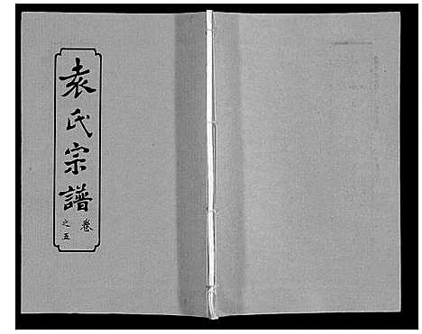 [袁]袁氏宗谱_24卷首4卷首1卷 (湖北) 袁氏家谱_十.pdf