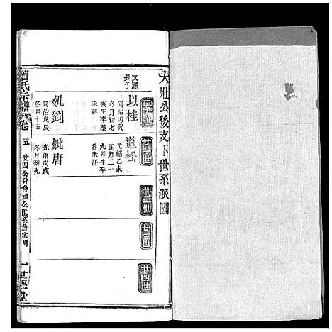 [詹]詹氏宗谱 (湖北) 詹氏家谱_九.pdf