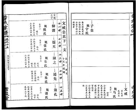 [章]章氏宗谱_15卷首2卷 (湖北) 章氏家谱_九.pdf