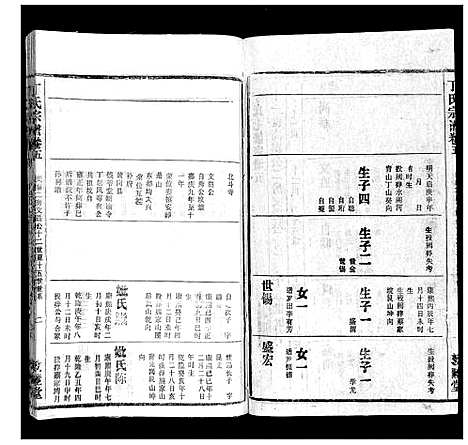 [丁]丁氏宗谱 (湖北) 丁氏家谱_四.pdf